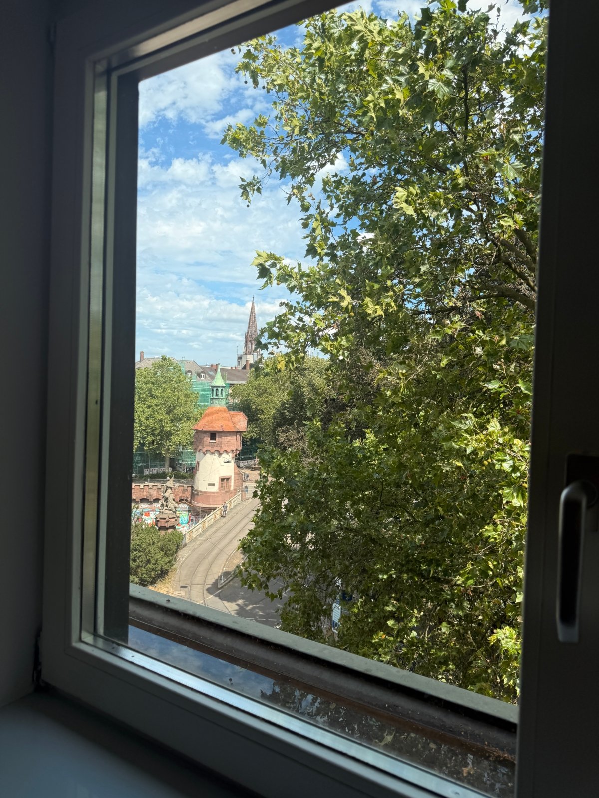 Münsterblick