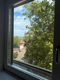 Münsterblick